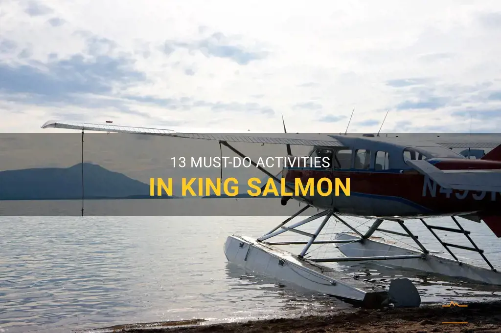 things to do in king salmon