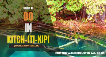 12 Fun Activities to Explore at Kitch-iti-kipi