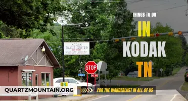 11 Fun Things to Do in Kodak, Tennessee