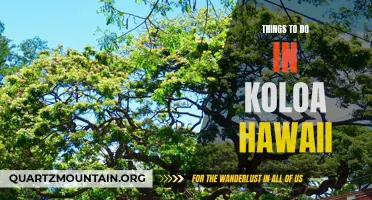 14 Fun Activities to Experience in Koloa, Hawaii