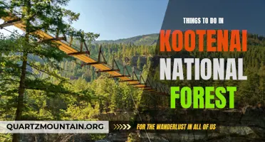13 Amazing Things to Do in Kootenai National Forest