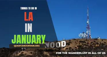 12 Fun Winter Activities to Enjoy in LA This January