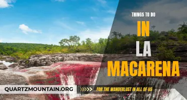 12 Unmissable Activities in La Macarena for an Incredible Colombian Adventure.