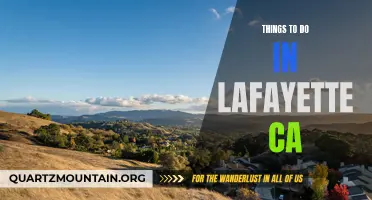 11 Fun and Exciting Things to Do in Lafayette, California