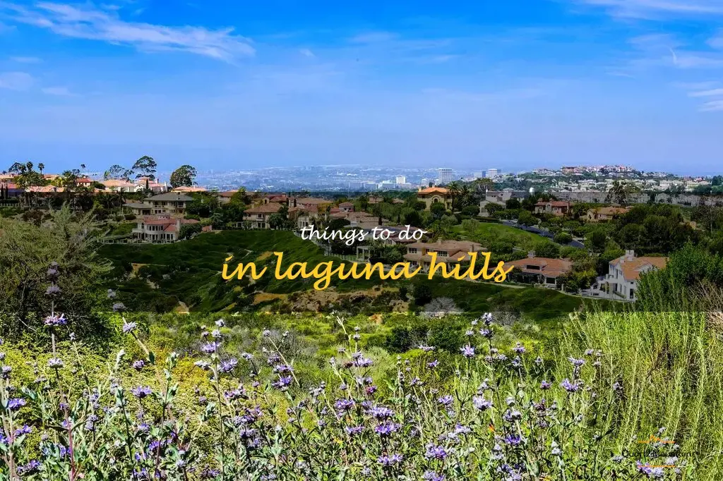 things to do in laguna hills