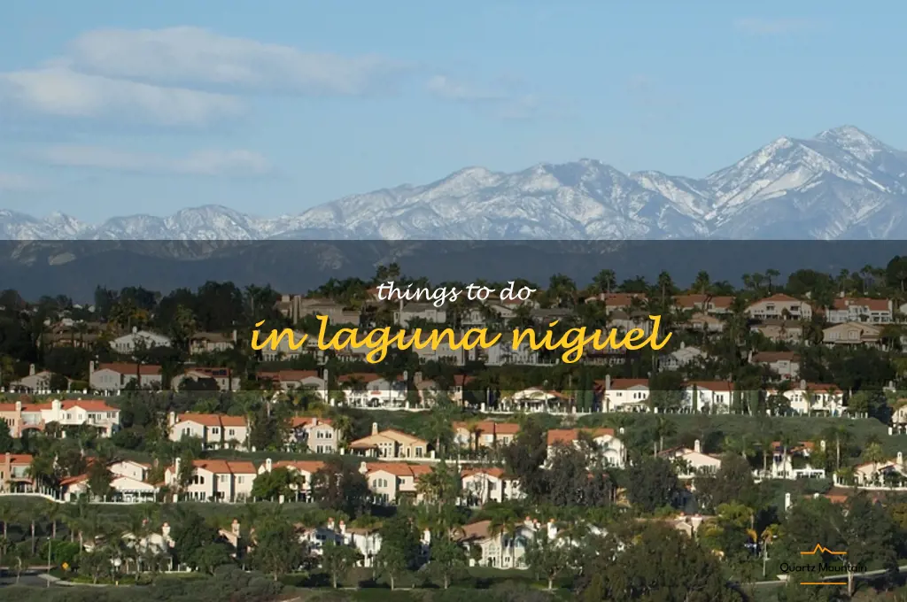 things to do in laguna niguel