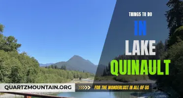 11 Awesome Things to Do in Lake Quinault