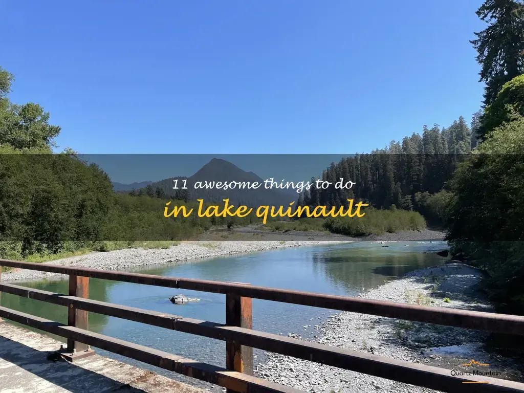 things to do in lake quinault