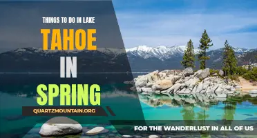 12 Fun Things to Do in Lake Tahoe in Spring
