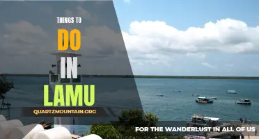 Exploring the Rich Culture and Natural Beauty: Things to Do in Lamu