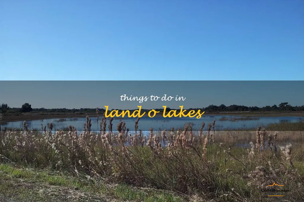 things to do in land o lakes