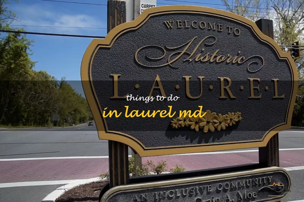 things to do in laurel md