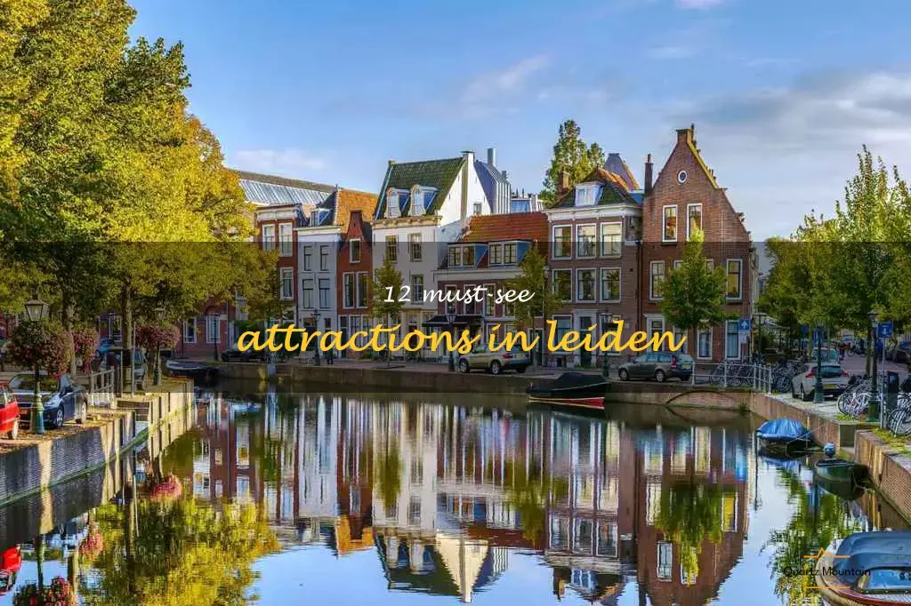 things to do in leiden