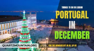 Top 10 Festive Things to Do in Lisbon, Portugal in December