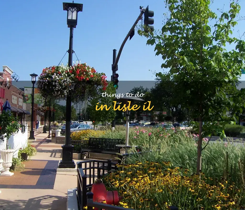 things to do in lisle il