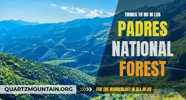 Exploring the Beauty: A Guide to the Best Things to Do in Los Padres National Forest