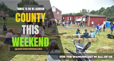 11 Fun Activities to Check Out in Loudoun County this Weekend