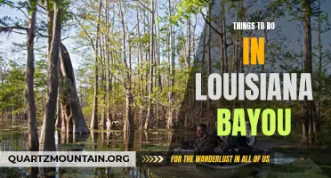 Uncovering the Hidden Gems: Exploring the Enchanting Things to Do in Louisiana Bayou