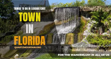 11 Fun Activities to Do in Loxahatchee Town, Florida.