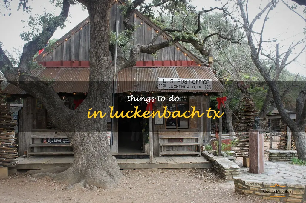 things to do in luckenbach tx