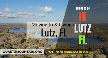 13 Fun Things To Do in Lutz, FL