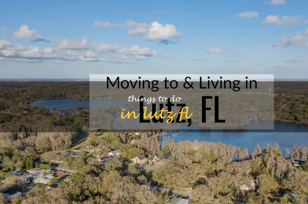 things to do in lutz fl