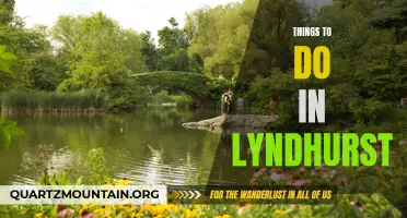 Exploring Lyndhurst: A Guide to Activities and Attractions