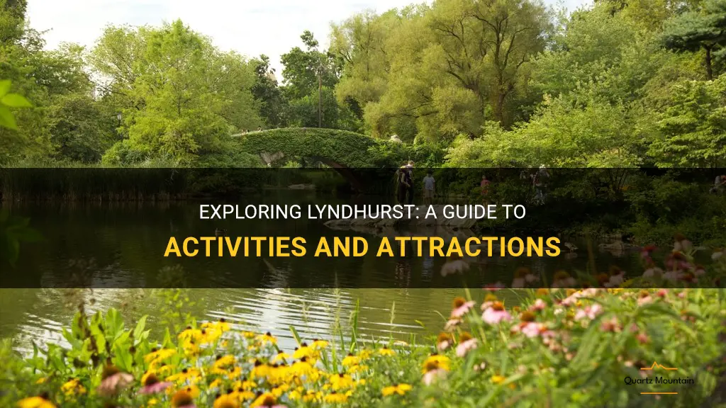 things to do in lyndhurst