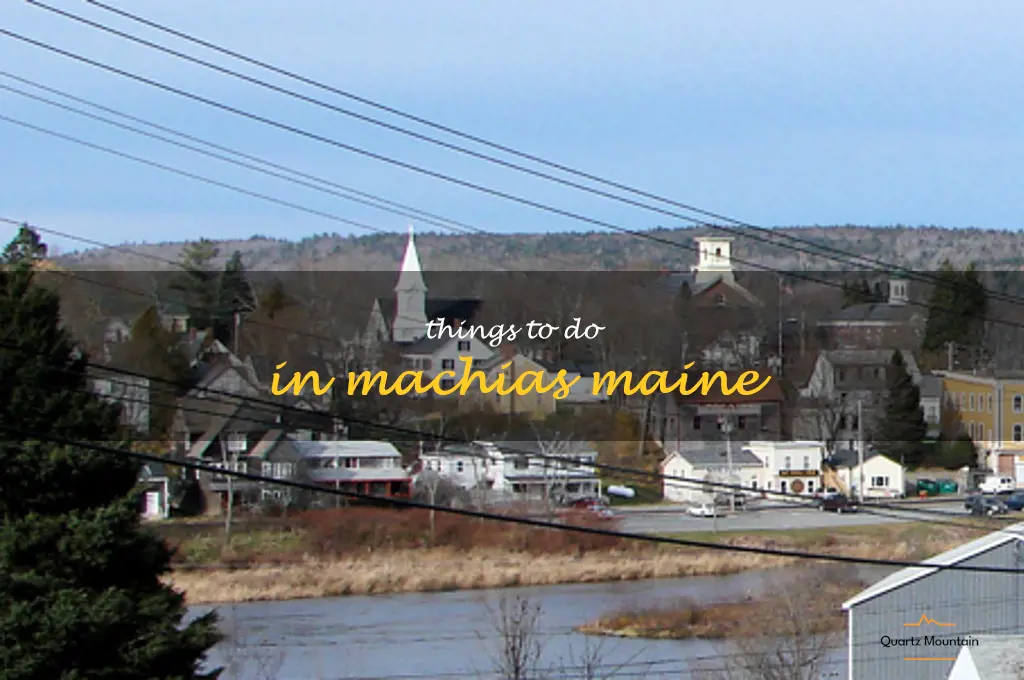 things to do in machias maine