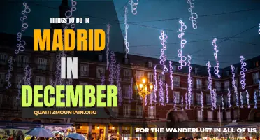 Discover the Festive Magic: 10 Must-Do Activities in Madrid in December