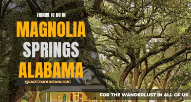 12 Fun Activities to Experience in Magnolia Springs, Alabama