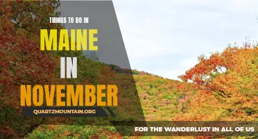 13 Fun Activities to Enjoy in Maine During November