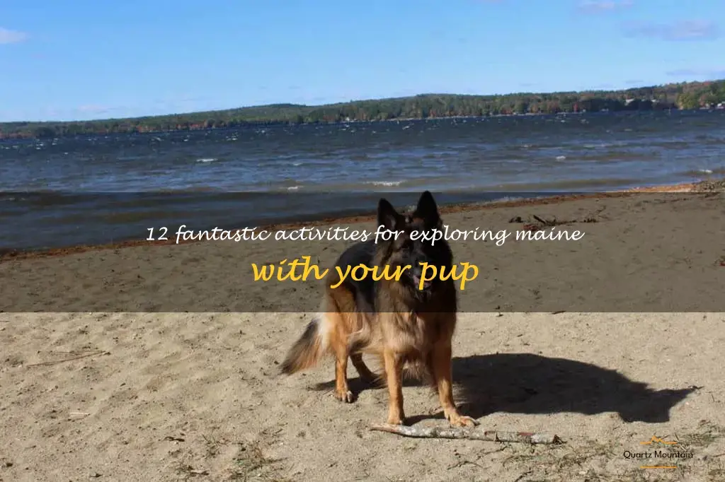 things to do in maine with dogs