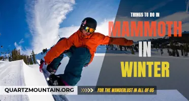 12 Fun Activities to Enjoy in Mammoth During Winter