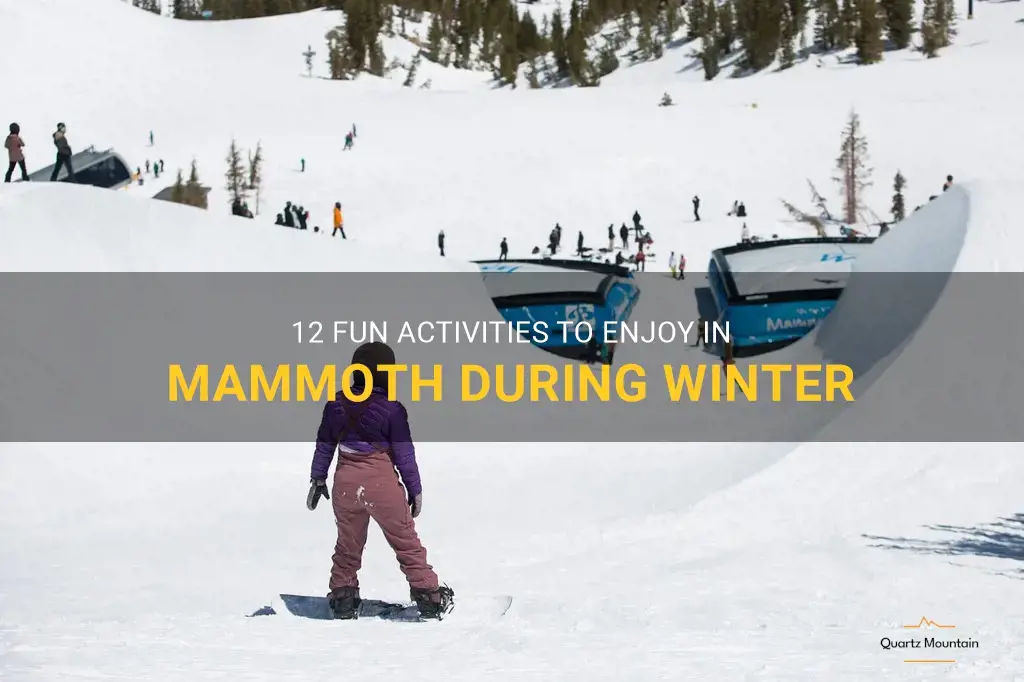 things to do in mammoth in winter
