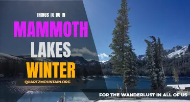 12 Exciting Winter Activities to Try in Mammoth Lakes