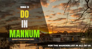 Exploring the Natural Wonders: Top Things to Do in Mannum