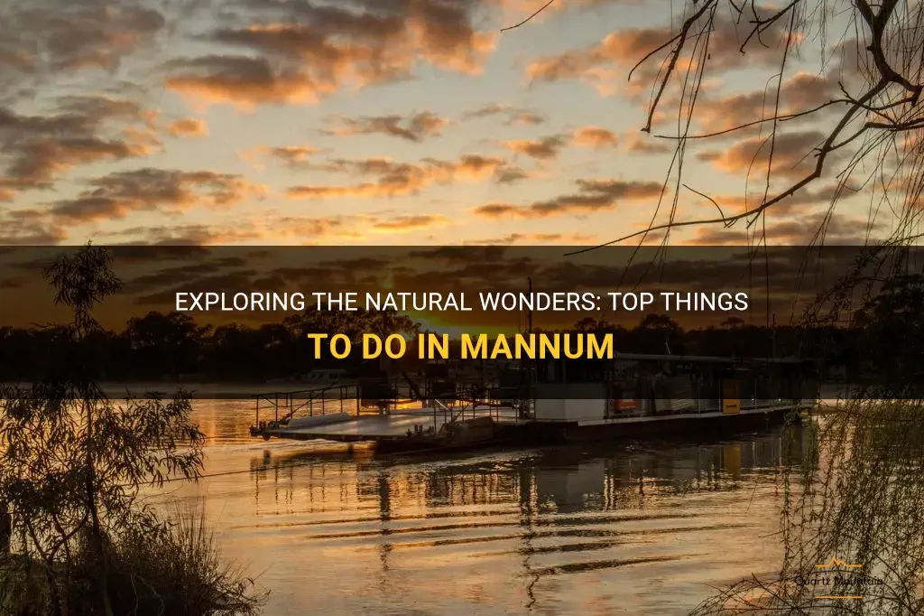 things to do in mannum