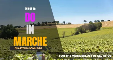 12 Awesome Activities to Experience in Marche, Italy
