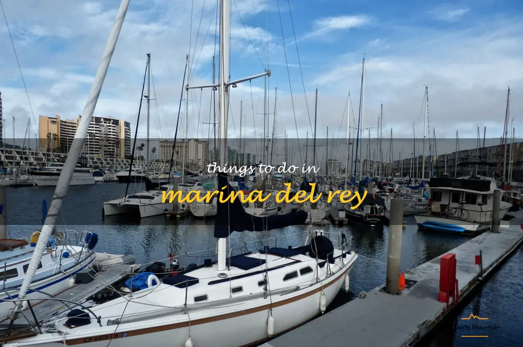 things to do in marina del rey
