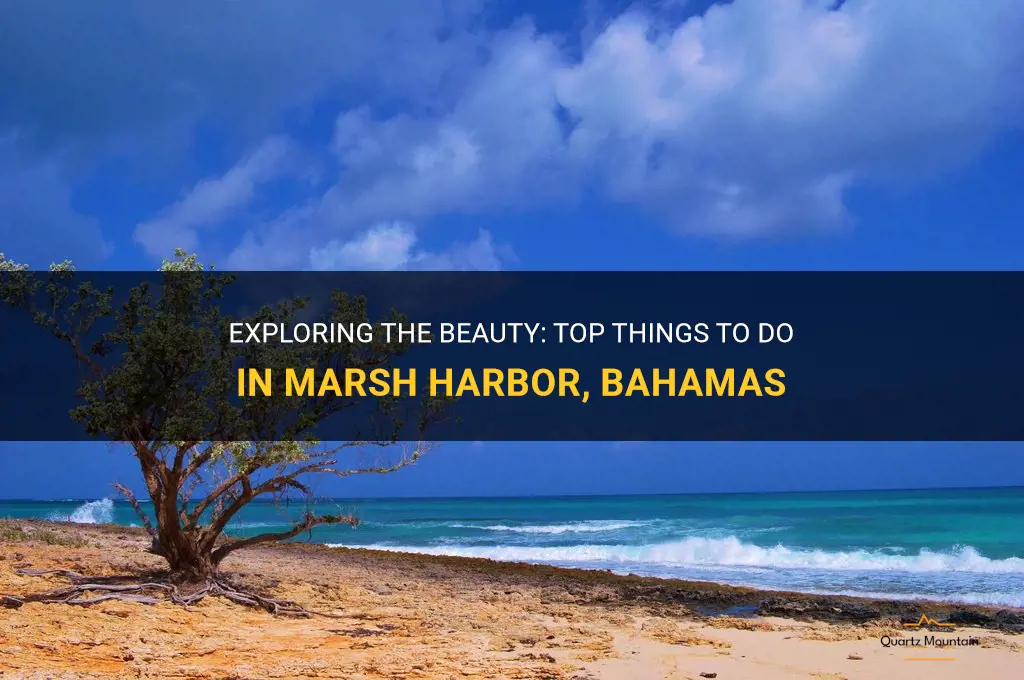 things to do in marsh harbor bahamas