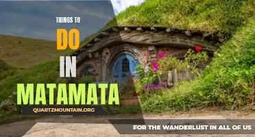 14 Fun Activities to Experience in Matamata