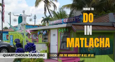 14 Fun and Unique Things to Do in Matlacha, Florida