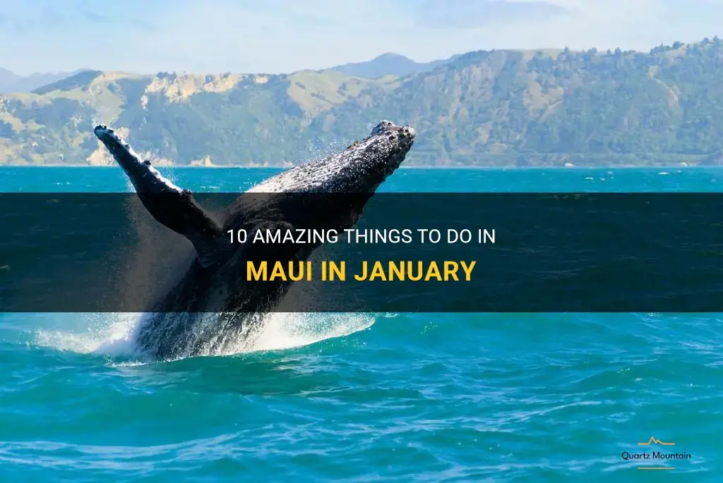 things to do in maui in january