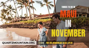 November Delights in Maui: Unmissable Activities and Attractions