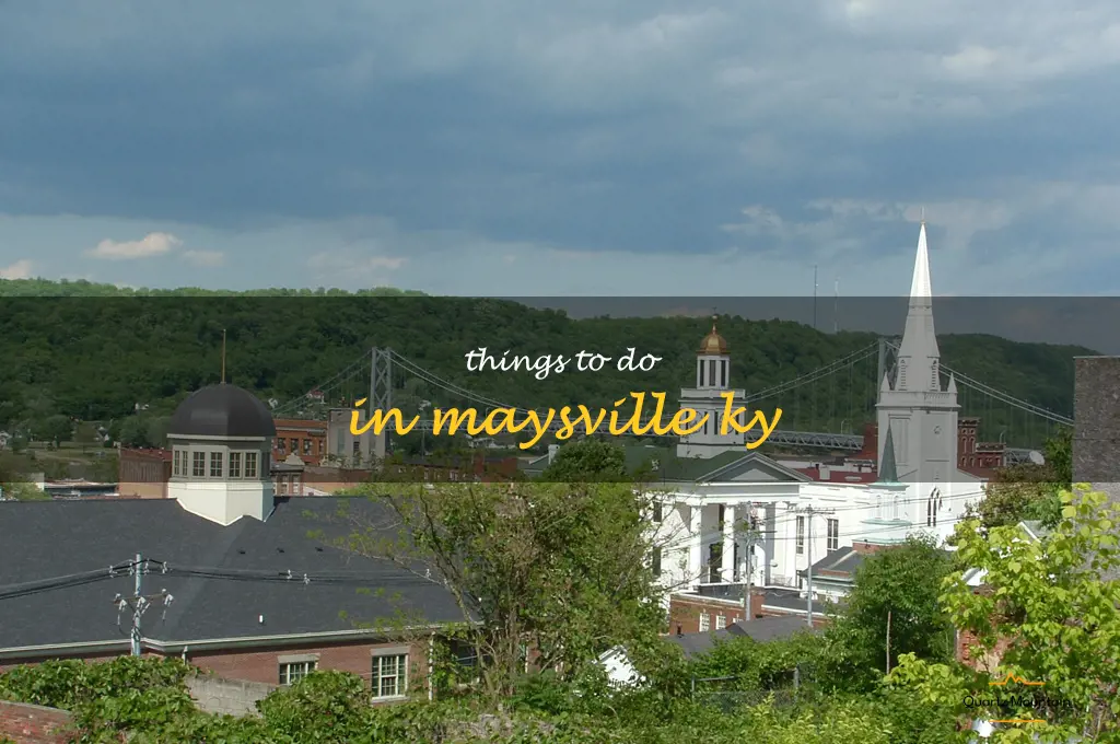things to do in maysville ky