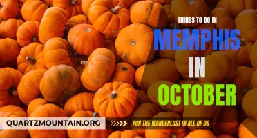 10 Exciting Activities to Experience in Memphis during October