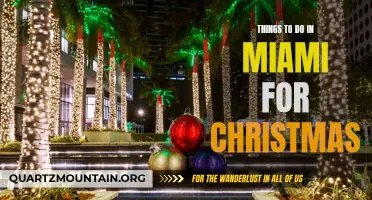 Christmas in Miami: Top Festive Activities and Attractions