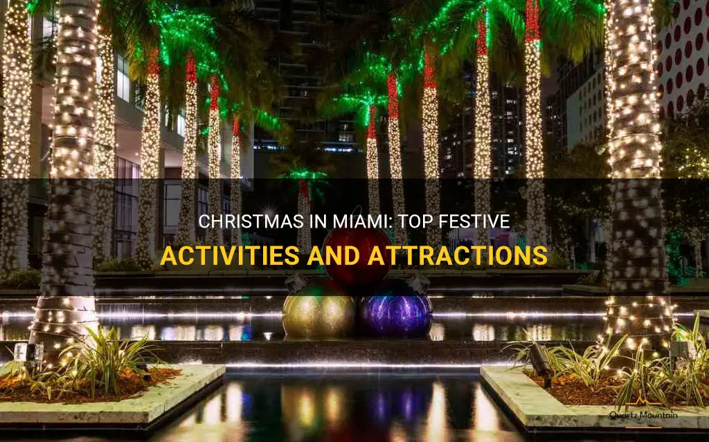 things to do in miami for christmas