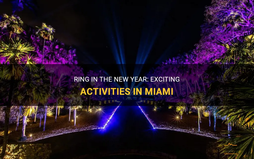 things to do in miami for new years